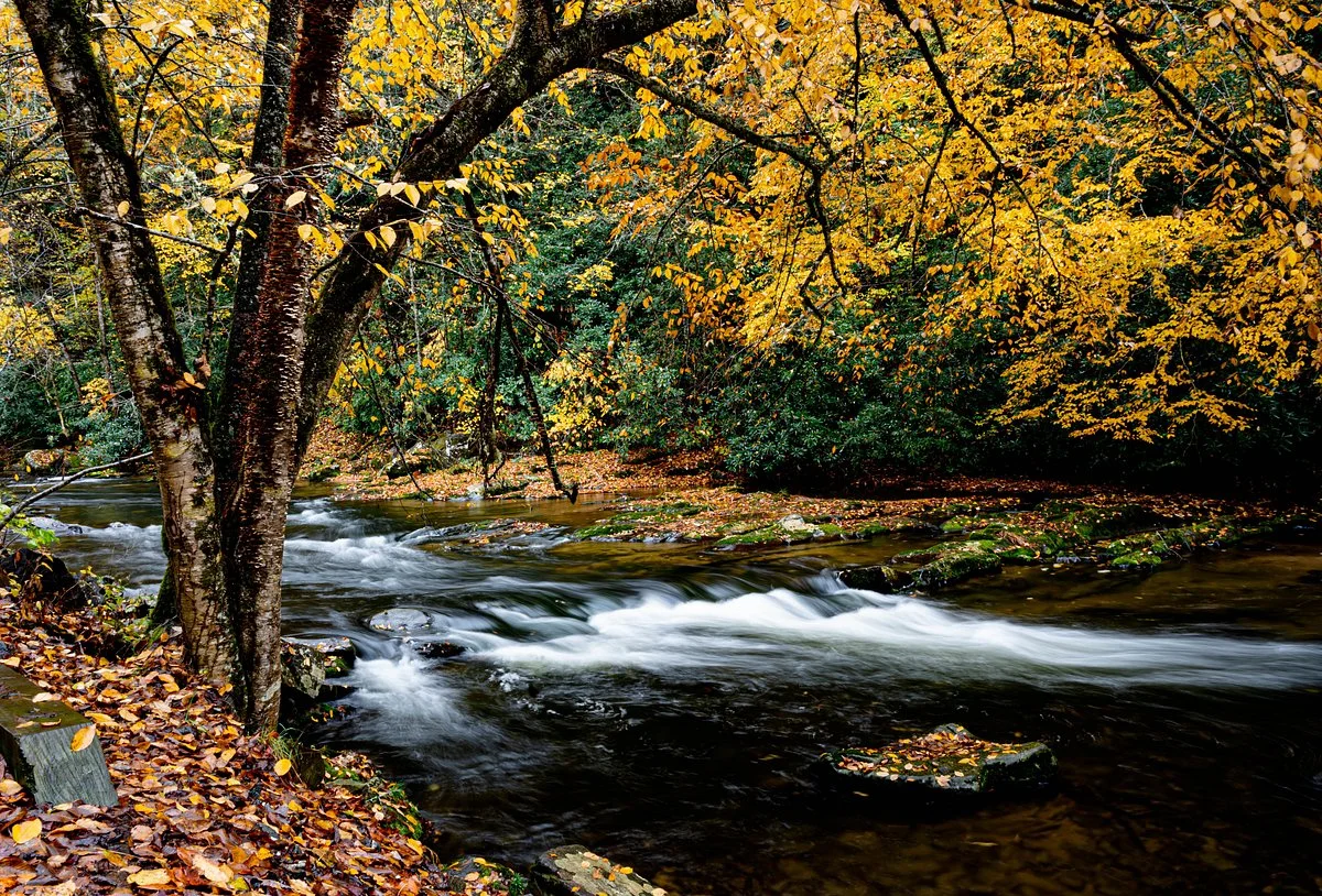 Nantahala Gorge