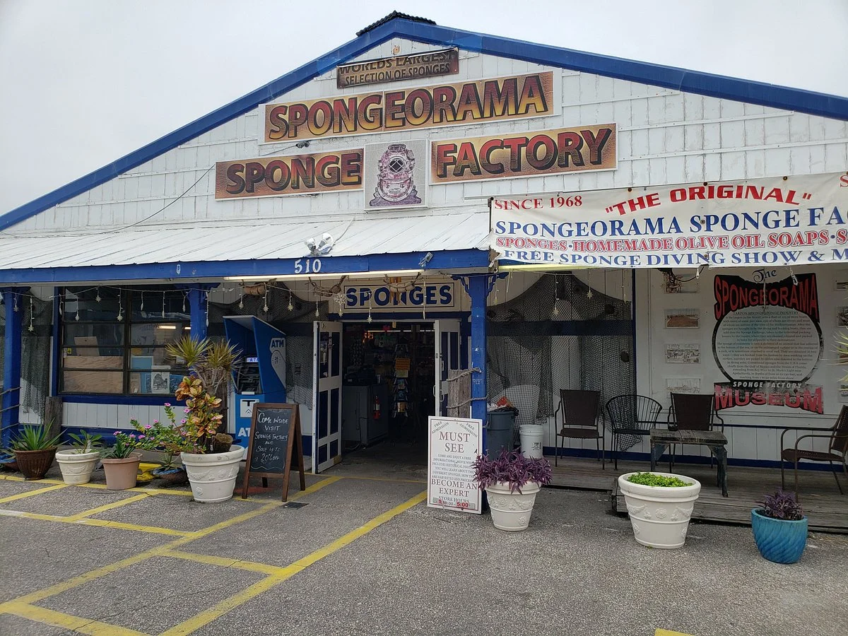 Spongeorama Sponge Factory