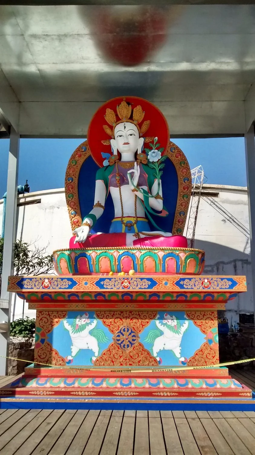 El Jardin De Tara