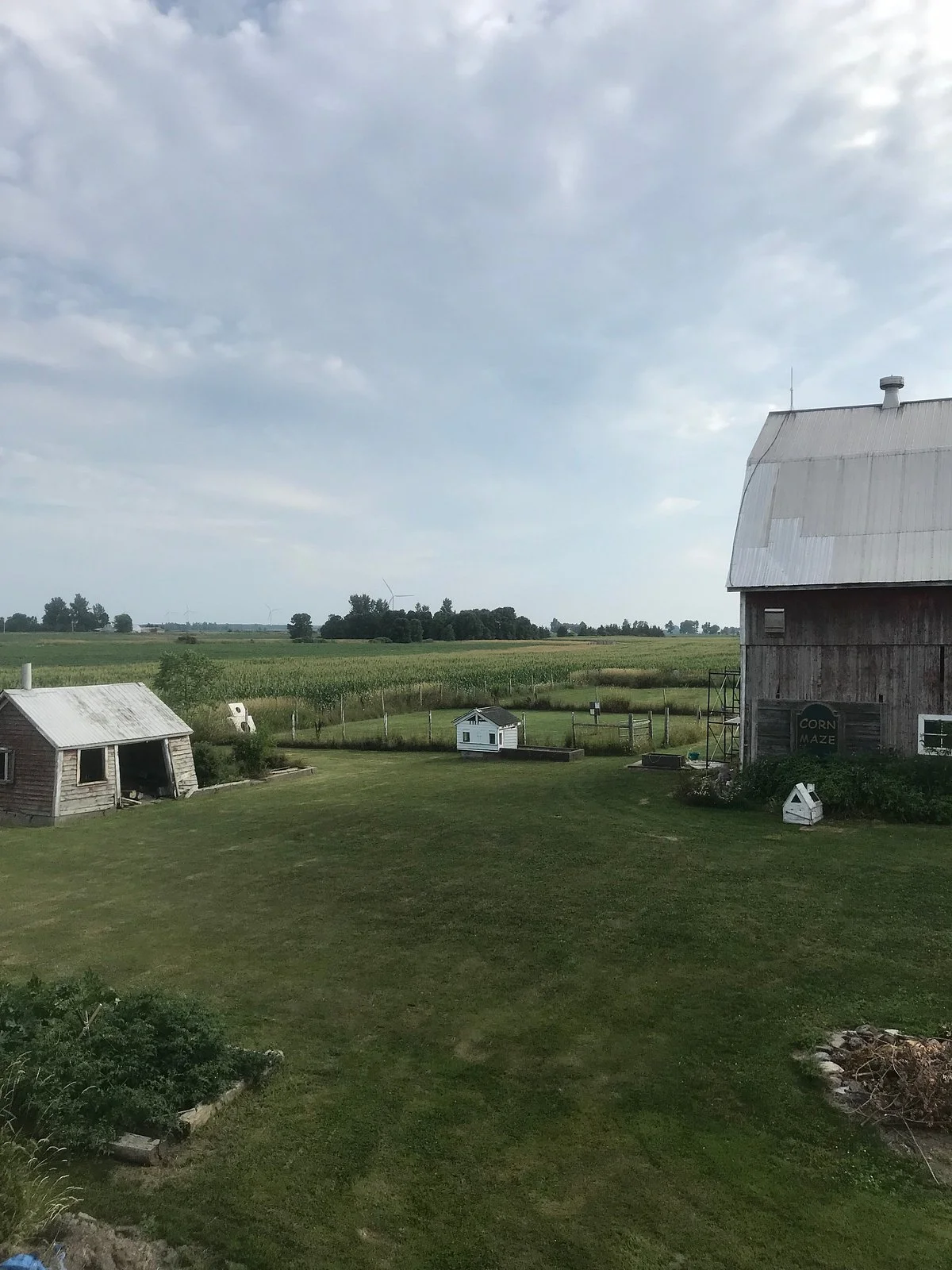 Wolfe Island Corn Maze