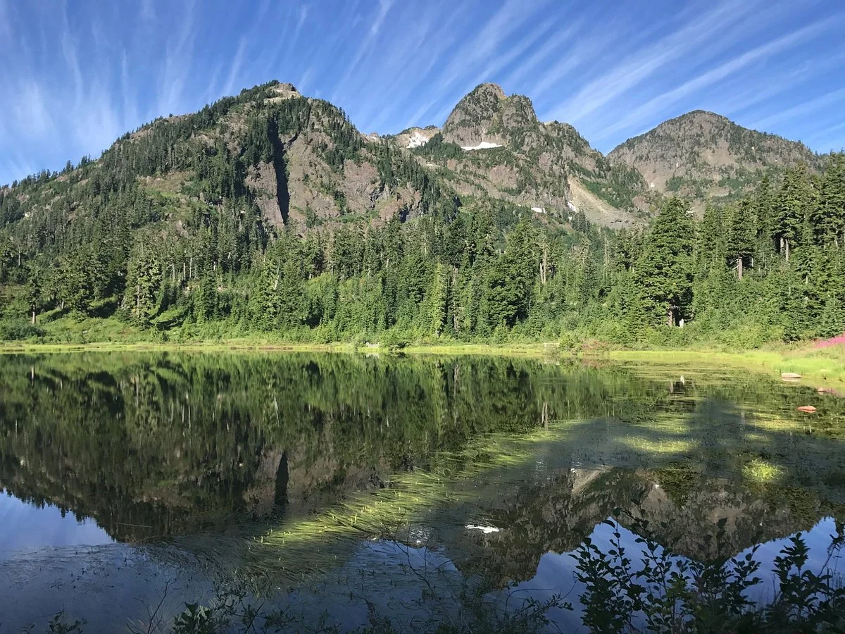 Mt Baker Ski Area
