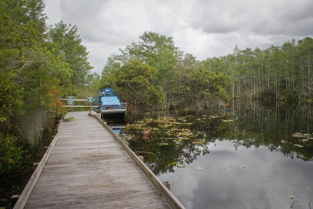 Grassy Waters Nature Preserve