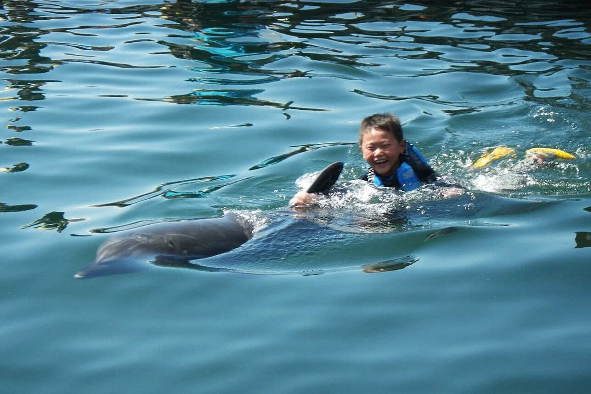 Dolphin Farm Shimanami
