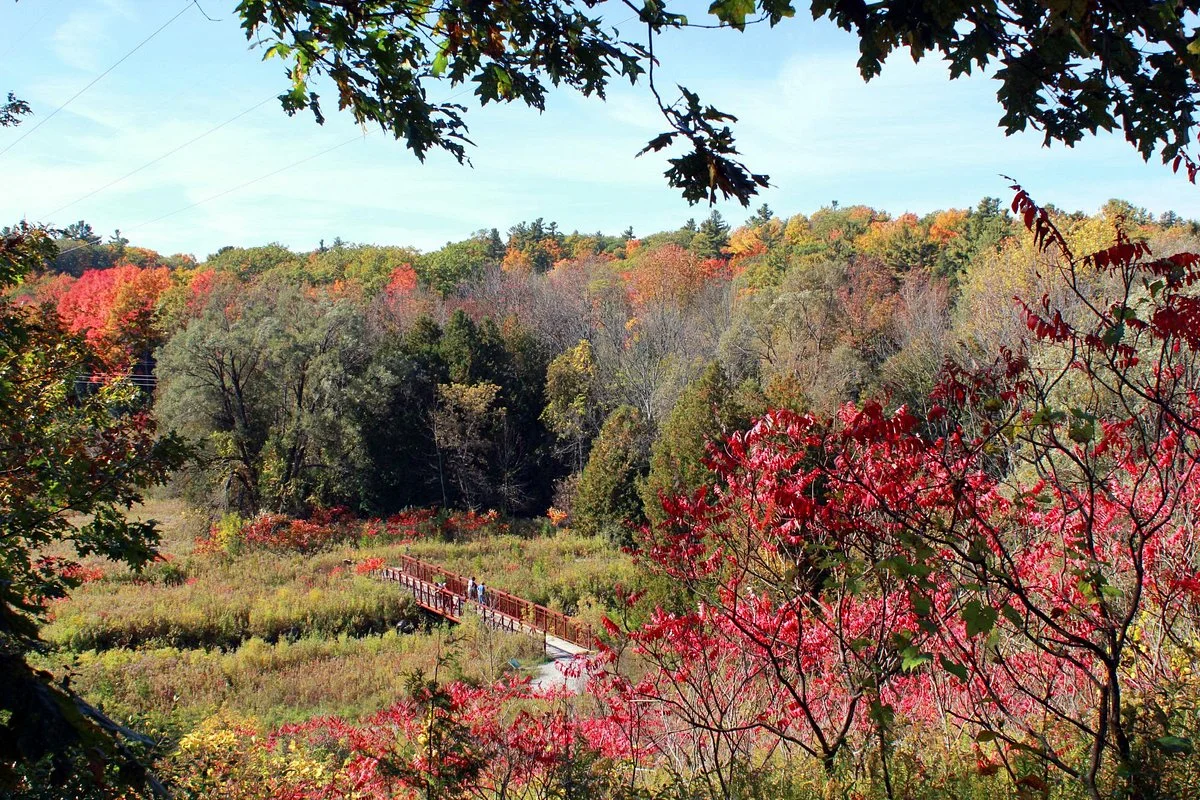 Greenwood Conservation Area
