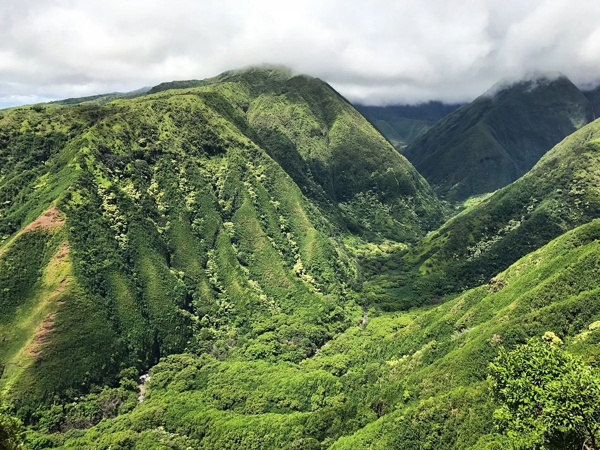 Waihee Ridge Trail