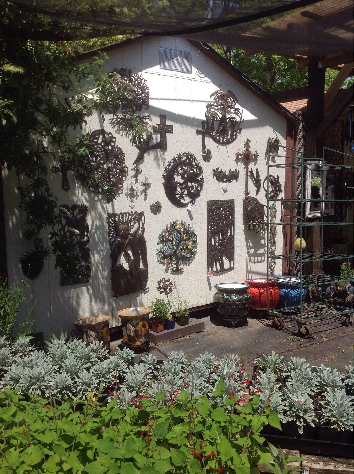 Morningsun Herb Farm