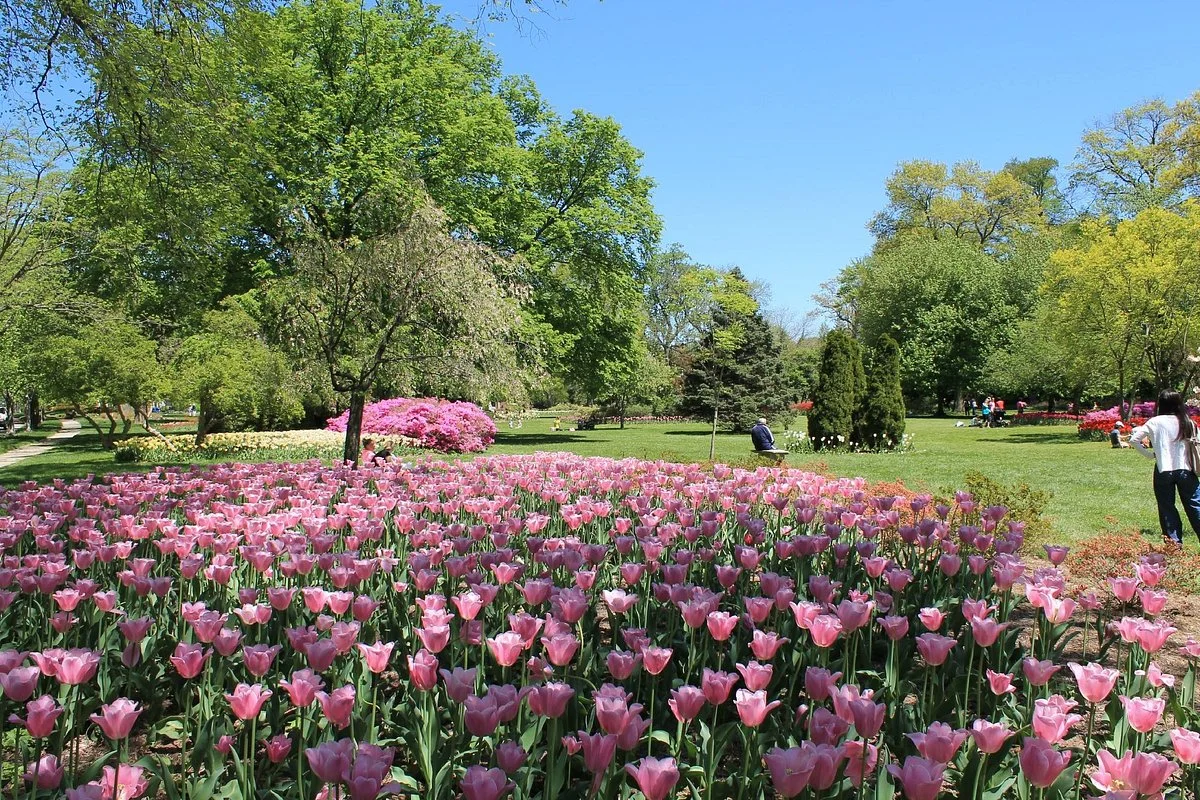 Sherwood Gardens