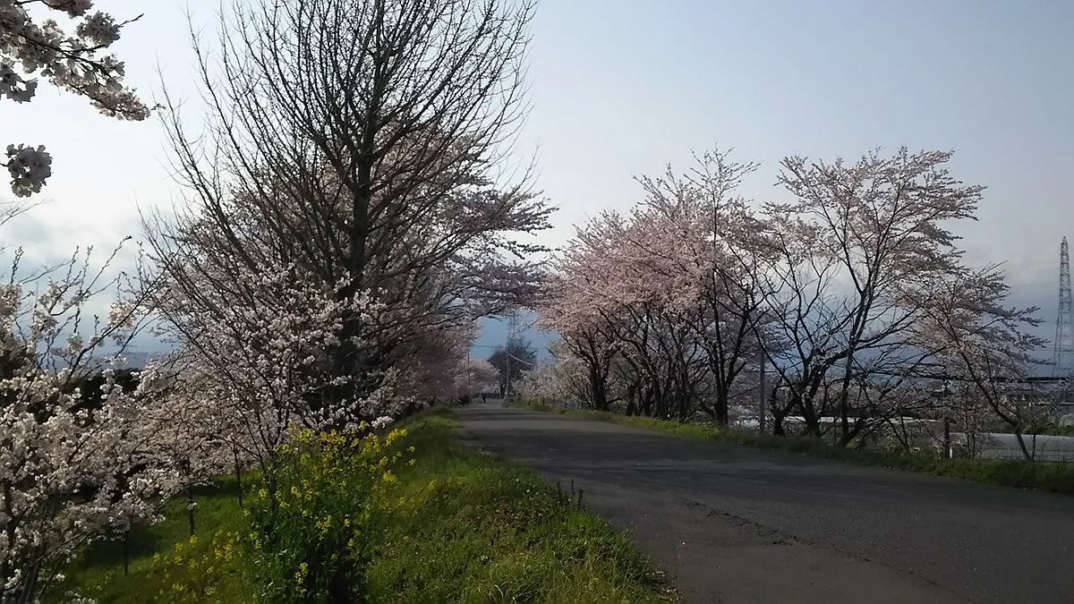 Oshimazutsumi Cycling Road