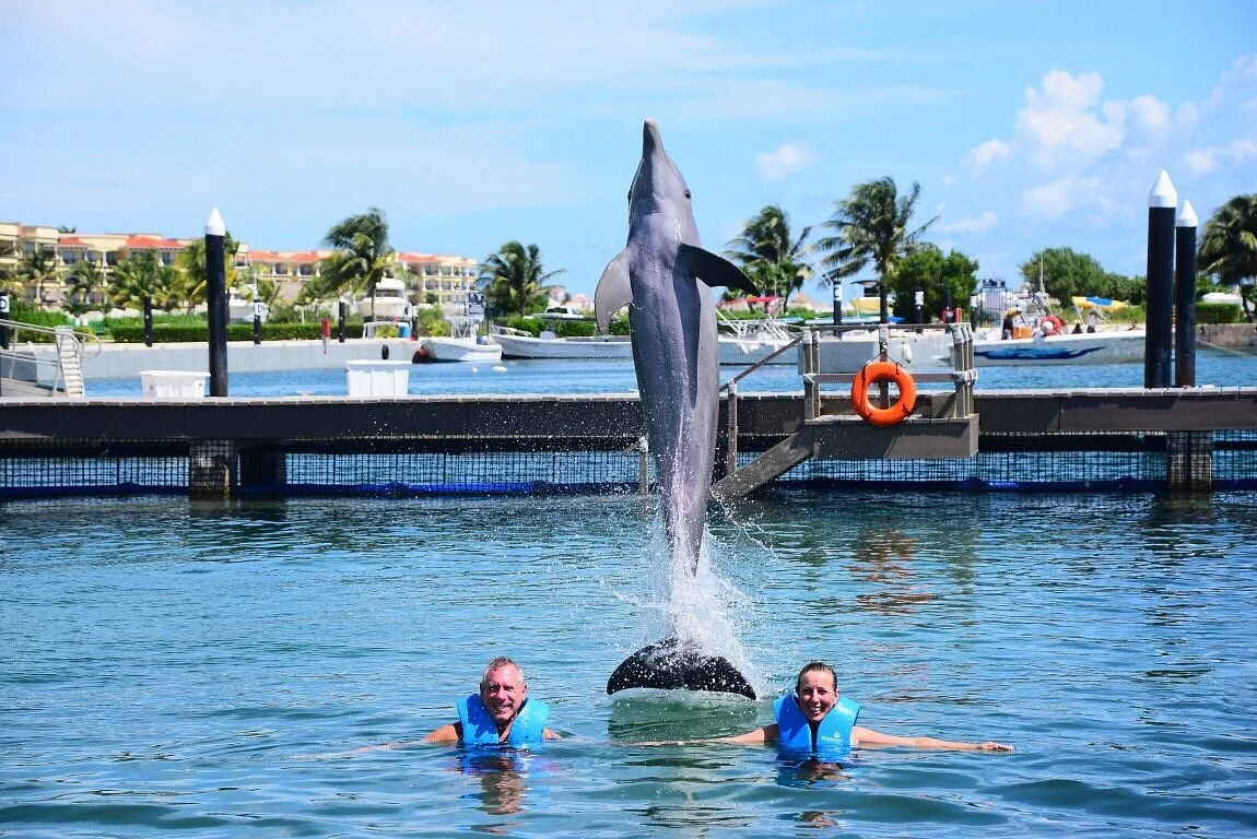 Delphinus Puerto Morelos