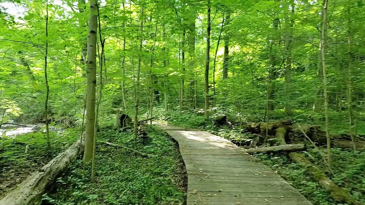 Claireville Conservation Area
