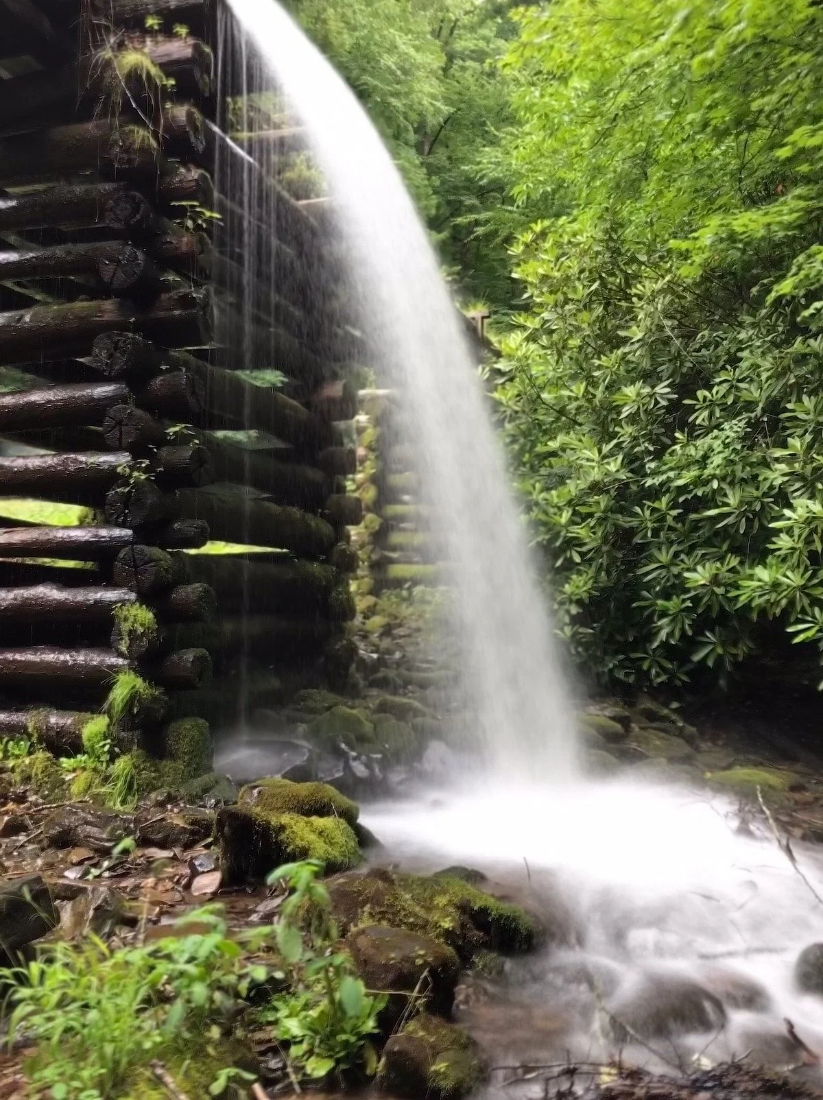 Mingus Mill