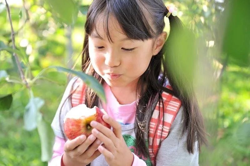 Kajitsu no Sato Harada Farm