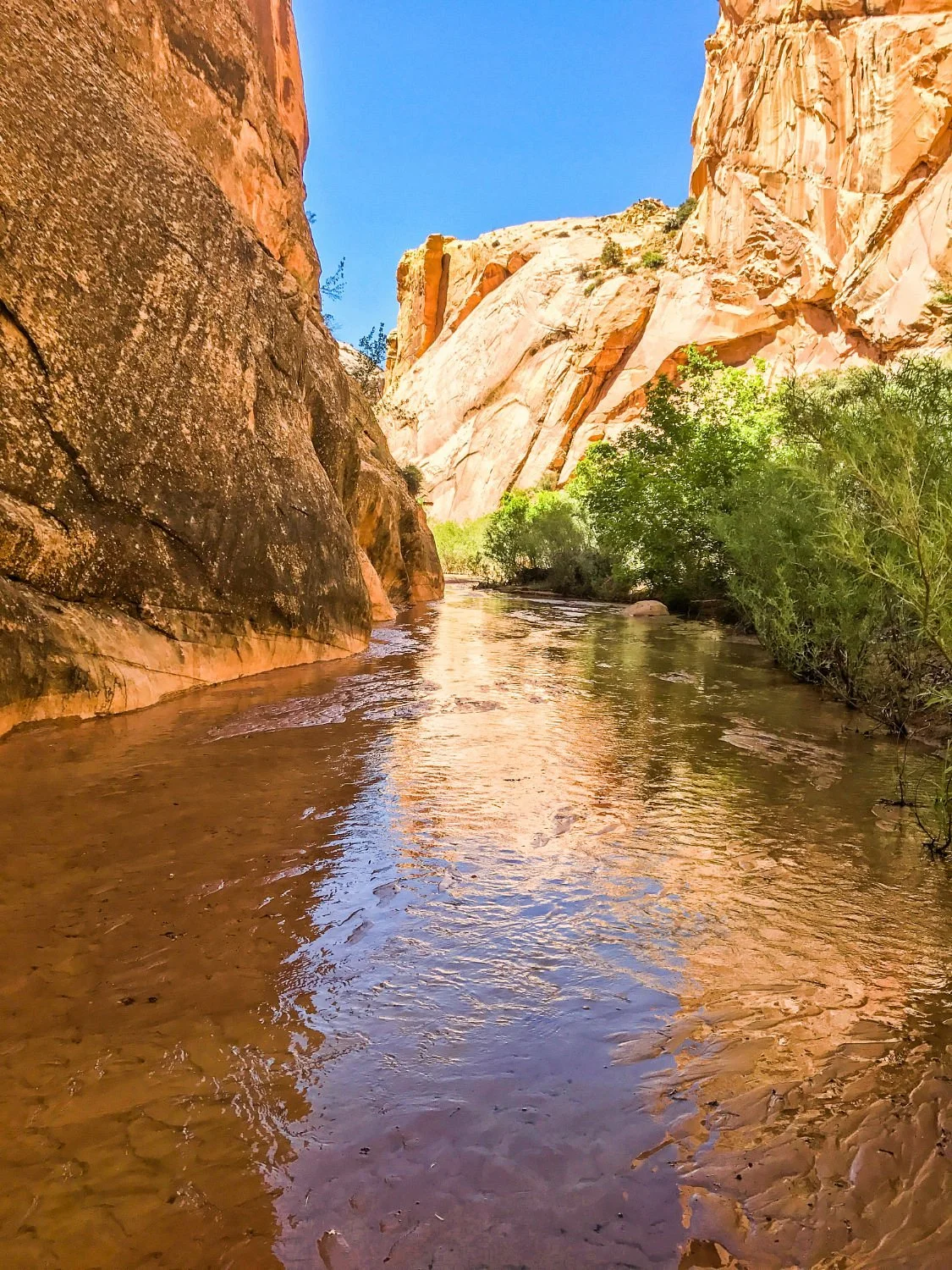 Cottonwood Canyon Road
