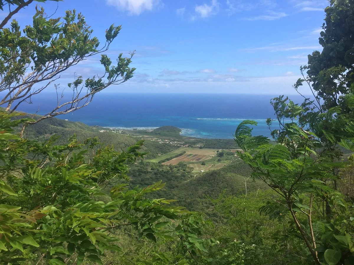 Boggy Peak