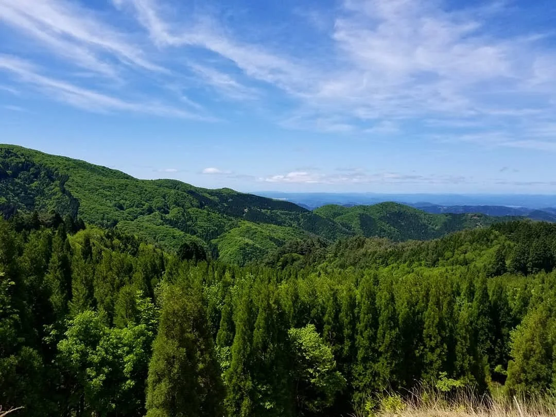 Daruga Peak