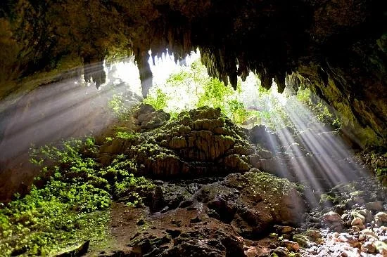 Parque Nacional de las Cavernas del Río Camuy