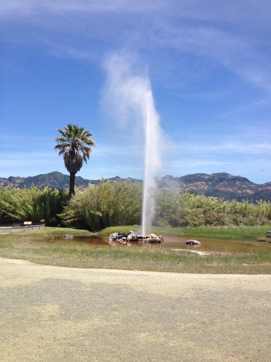 Old Faithful Geyser of California