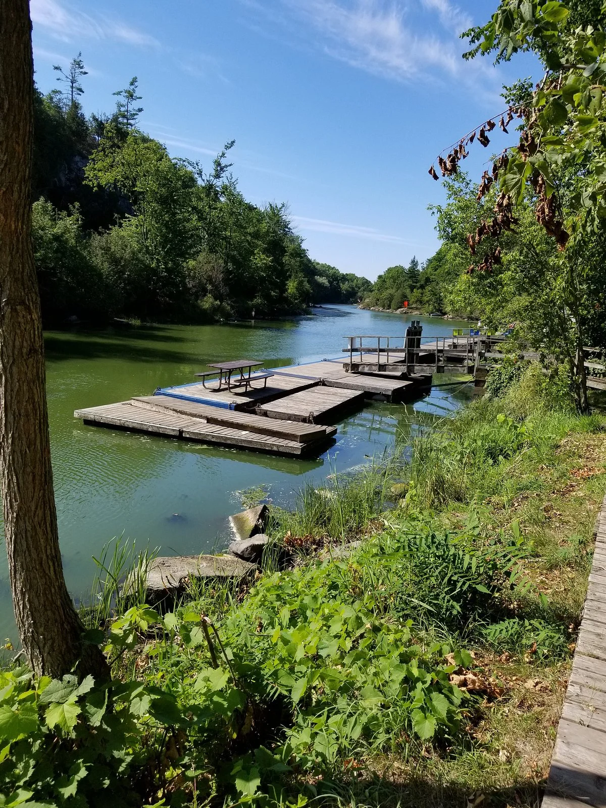 Kingston Mills