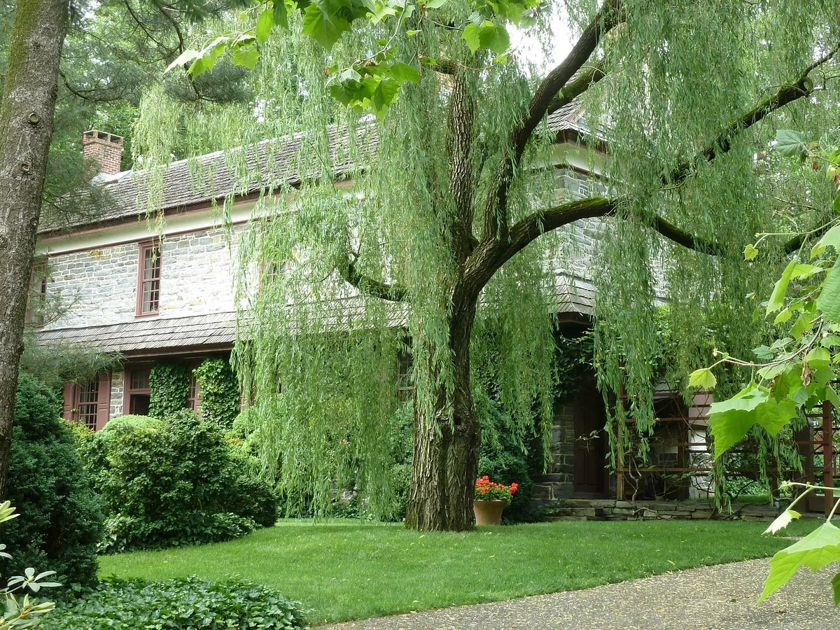 Wright's Ferry Mansion