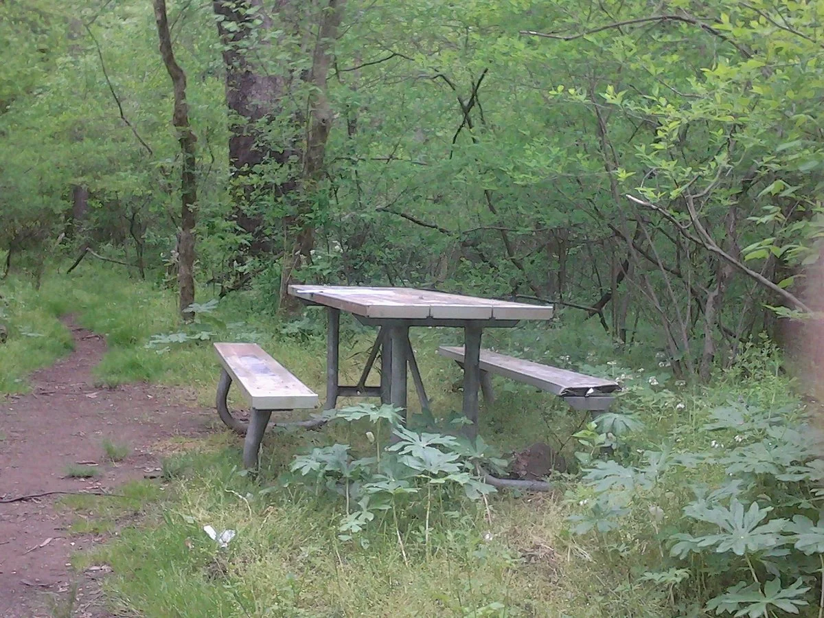 Frenchtown park