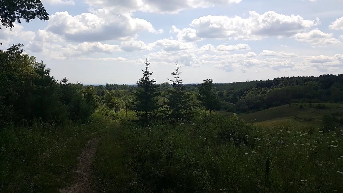 Glen Major Forest & Walker Woods