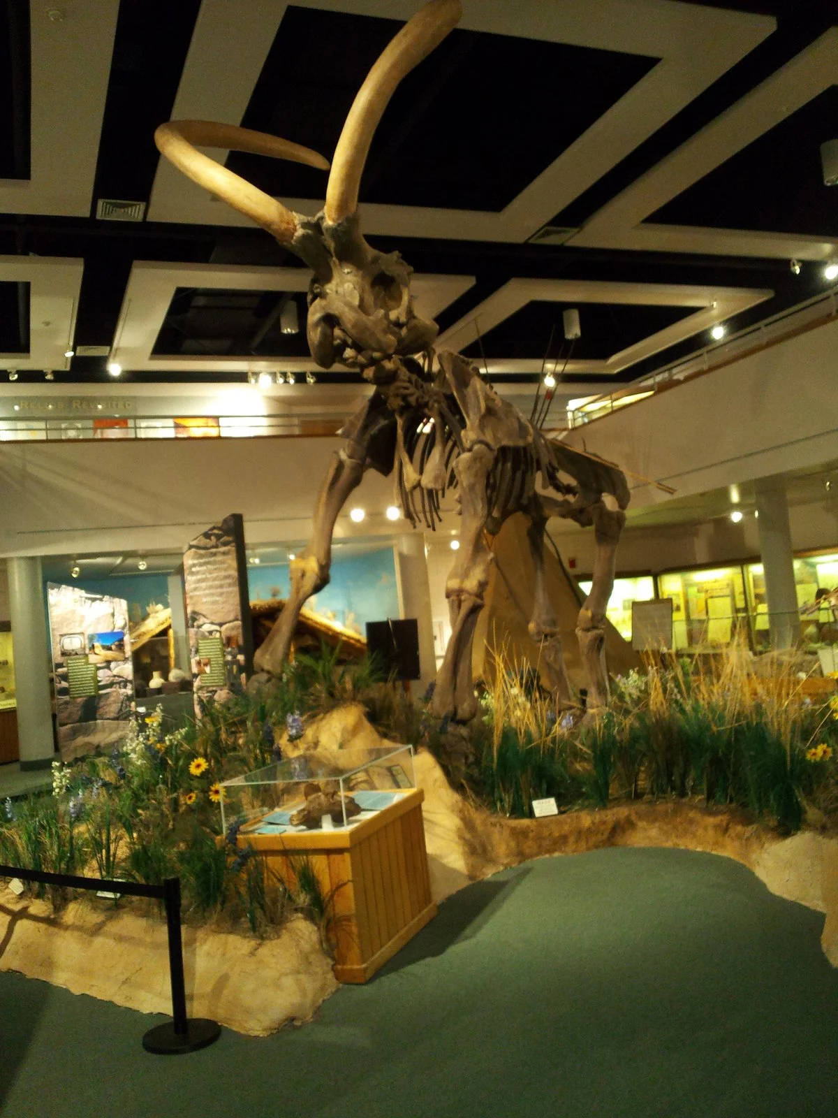 Utah State University Eastern Prehistoric Museum