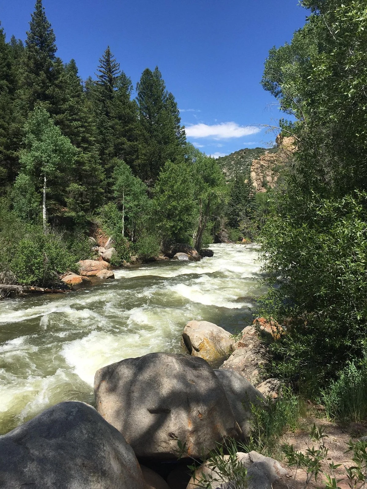 Rio Grande Trail