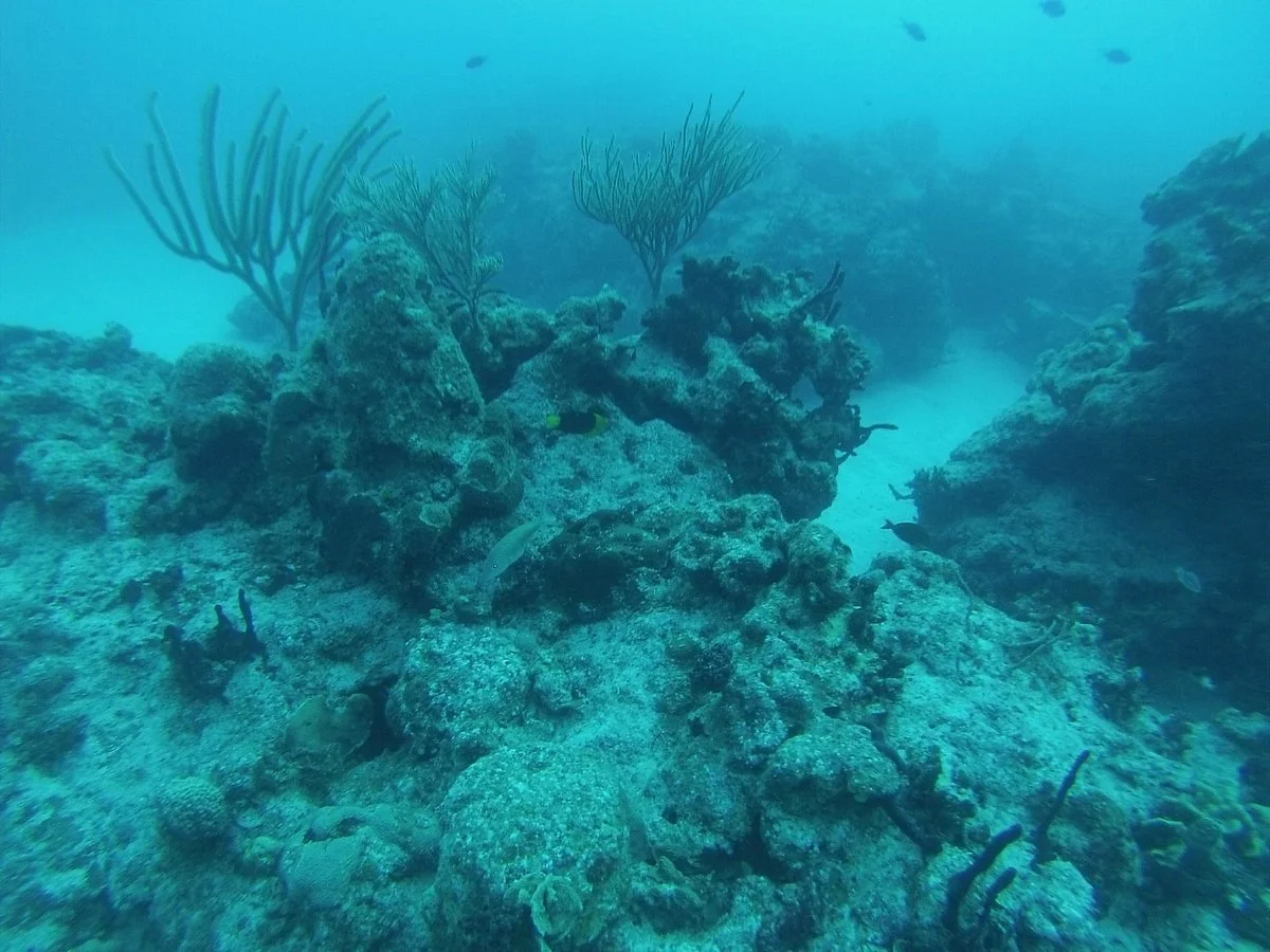Rainbow Reef