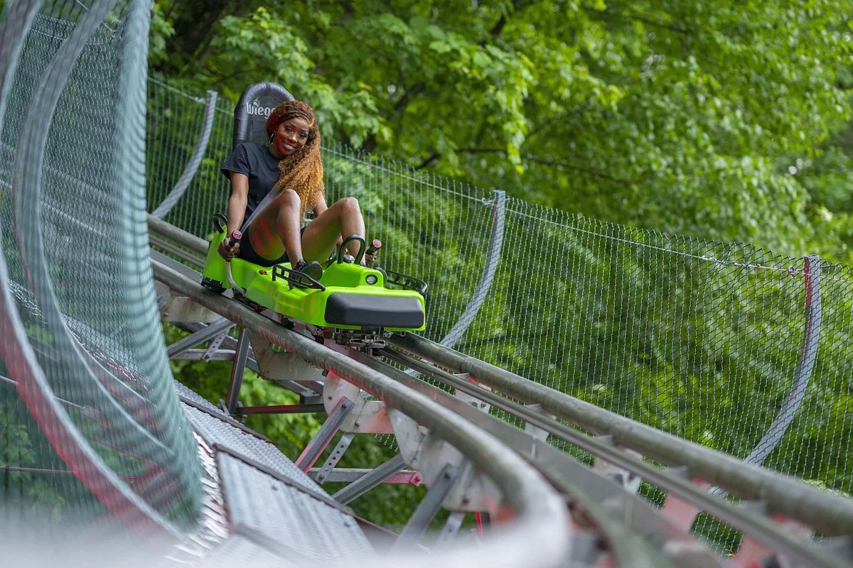 Moonshine Mountain Coaster
