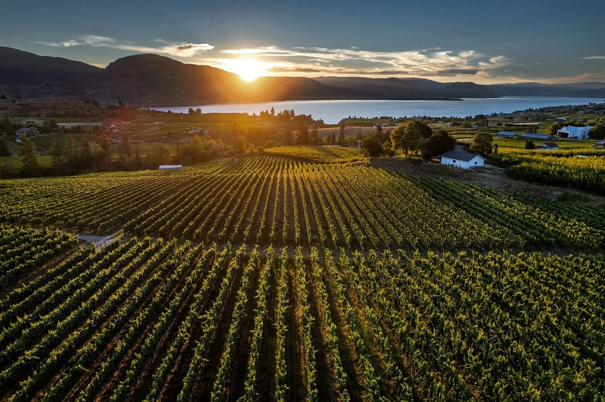 La Frenz Winery