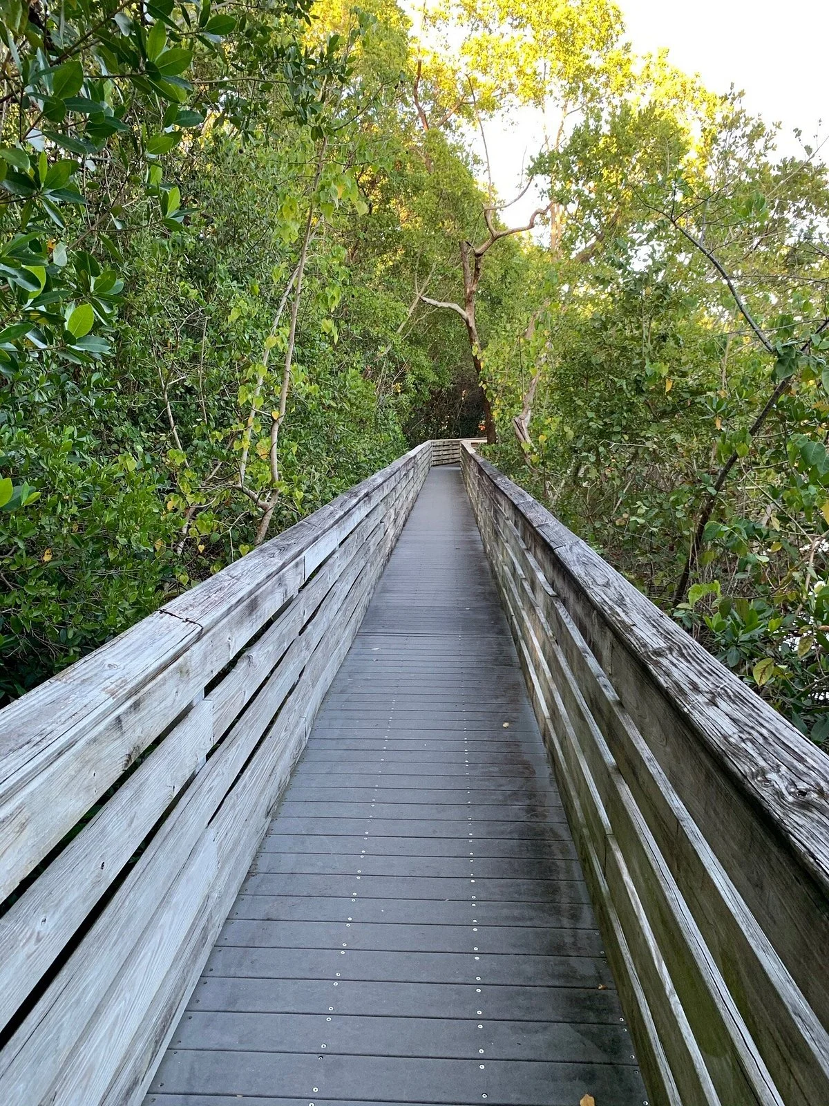 Richardson Historic Park and Nature Preserve