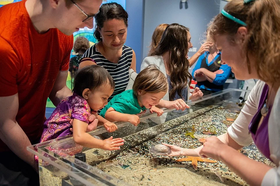 Discovery Centre