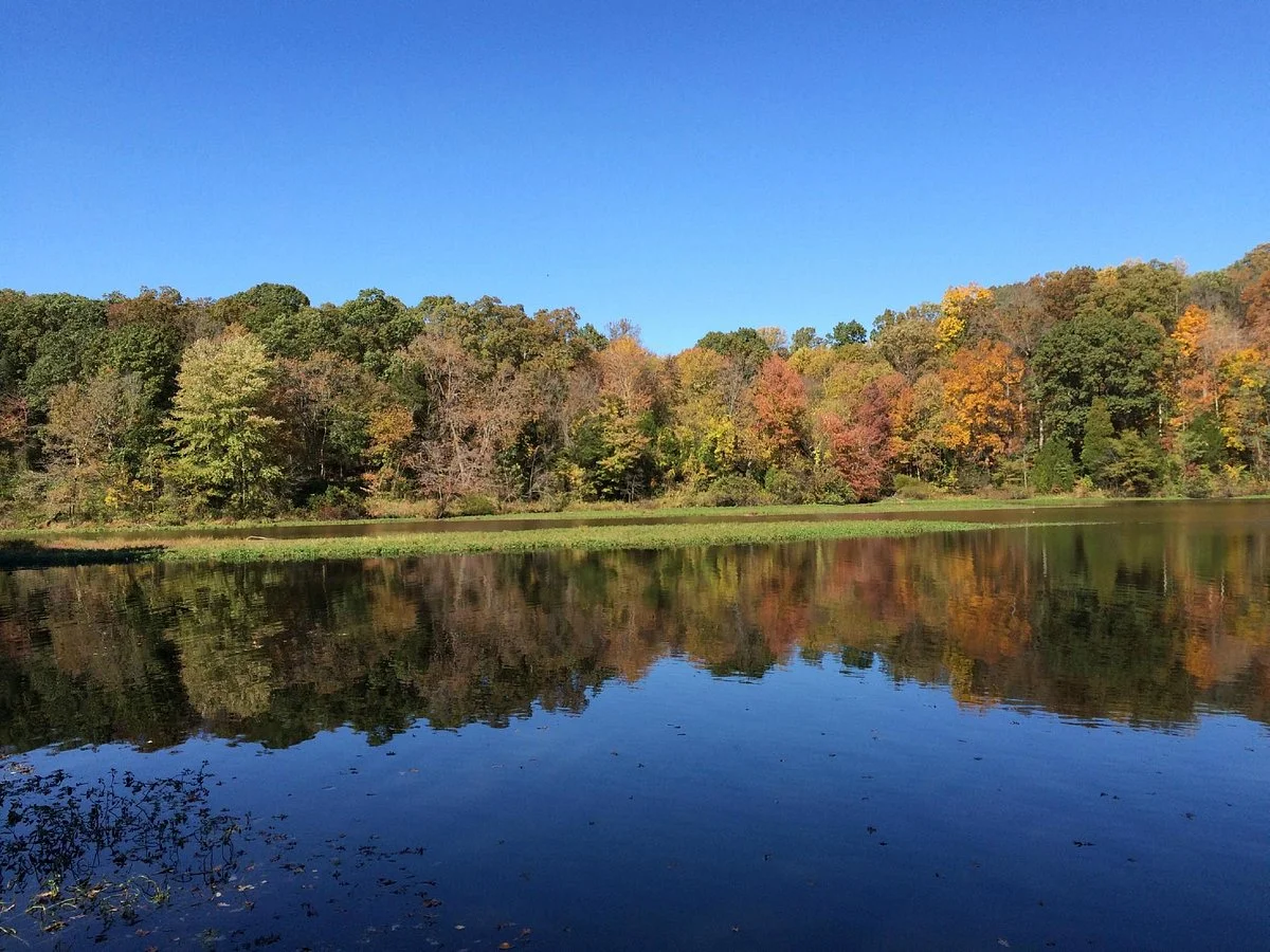 Lake Fairfax Park