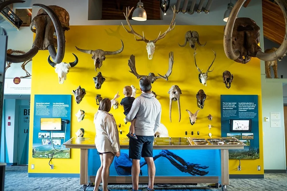 Yukon Beringia Interpretive Centre