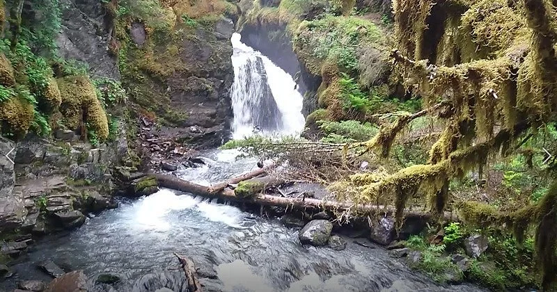 Virgin Creek Falls Trail