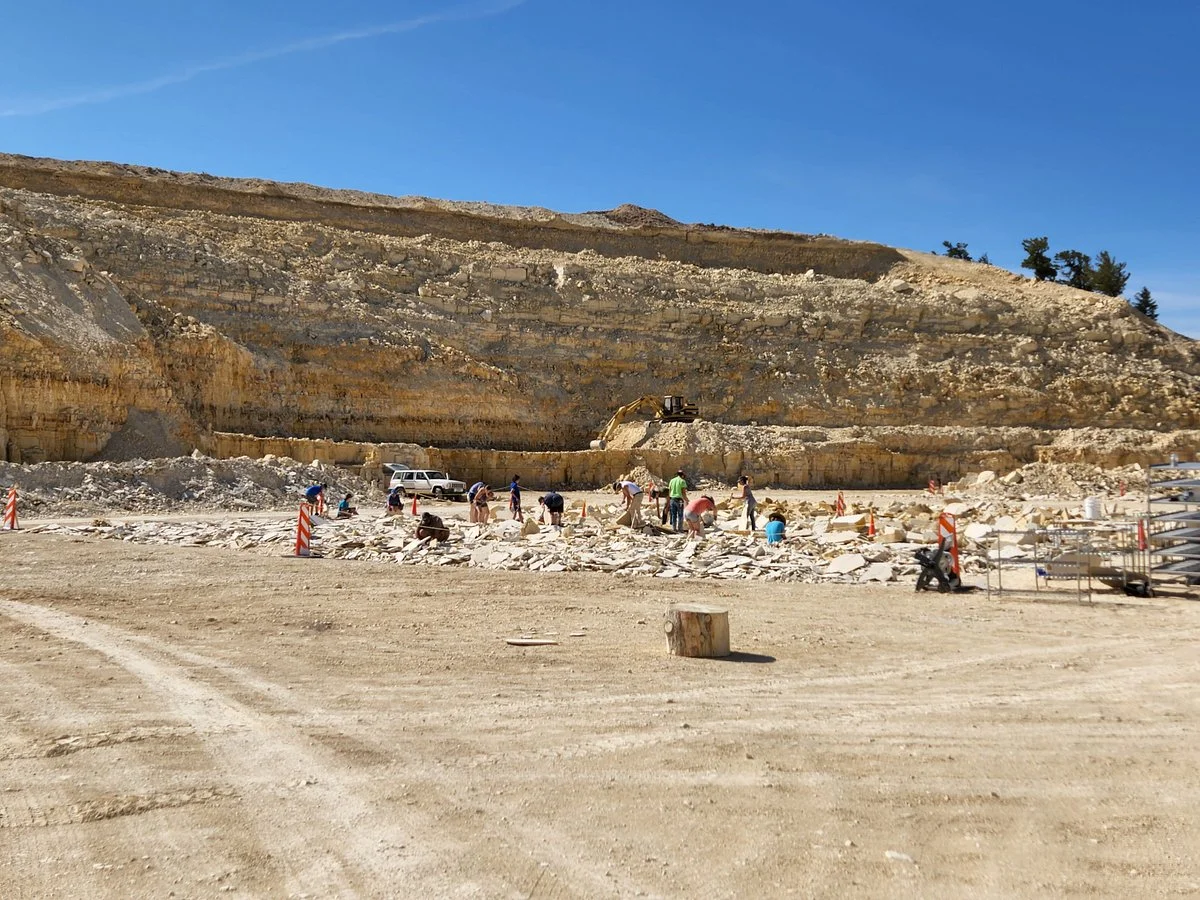 American Fossil