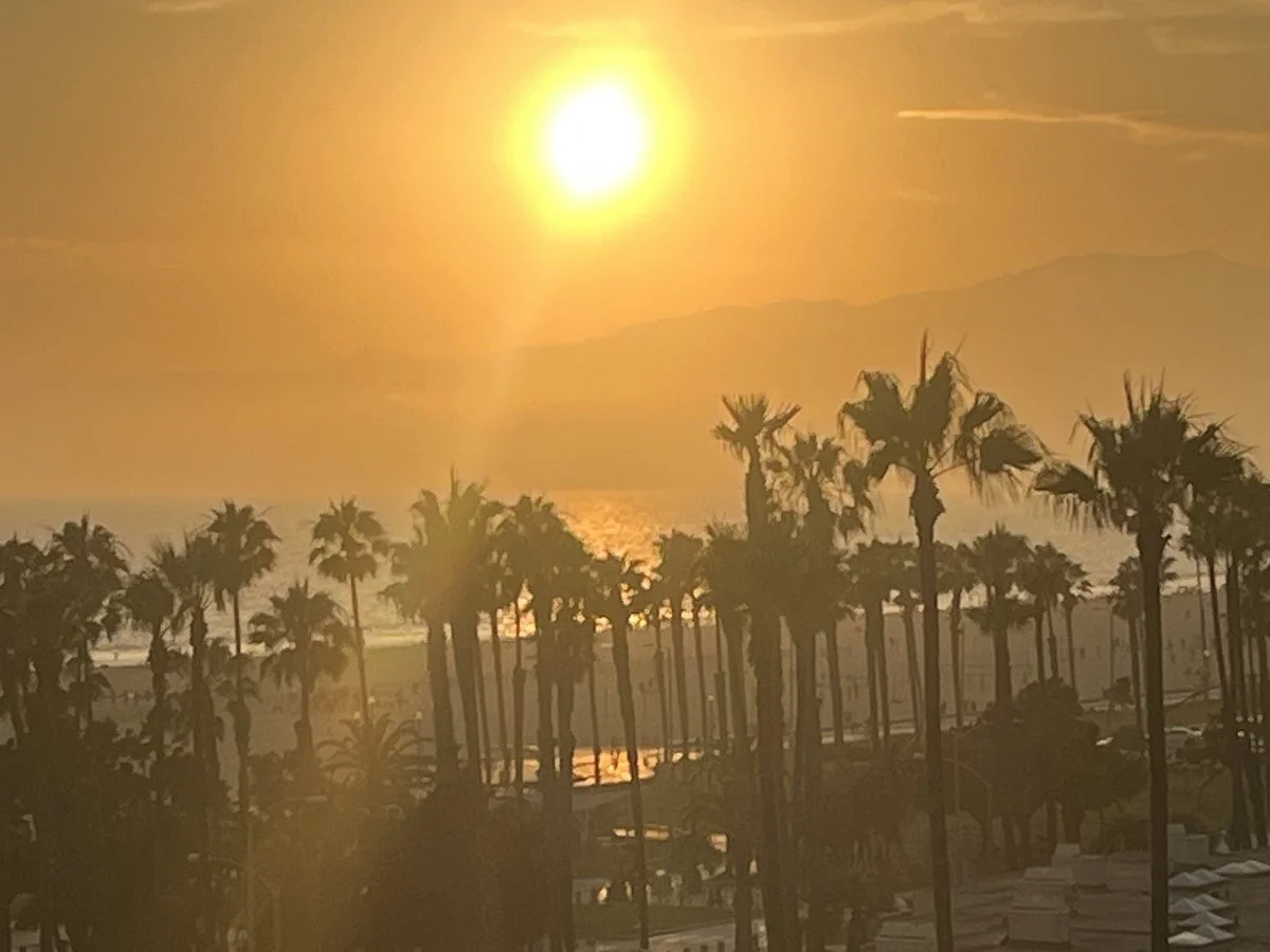 Ocean View Park
