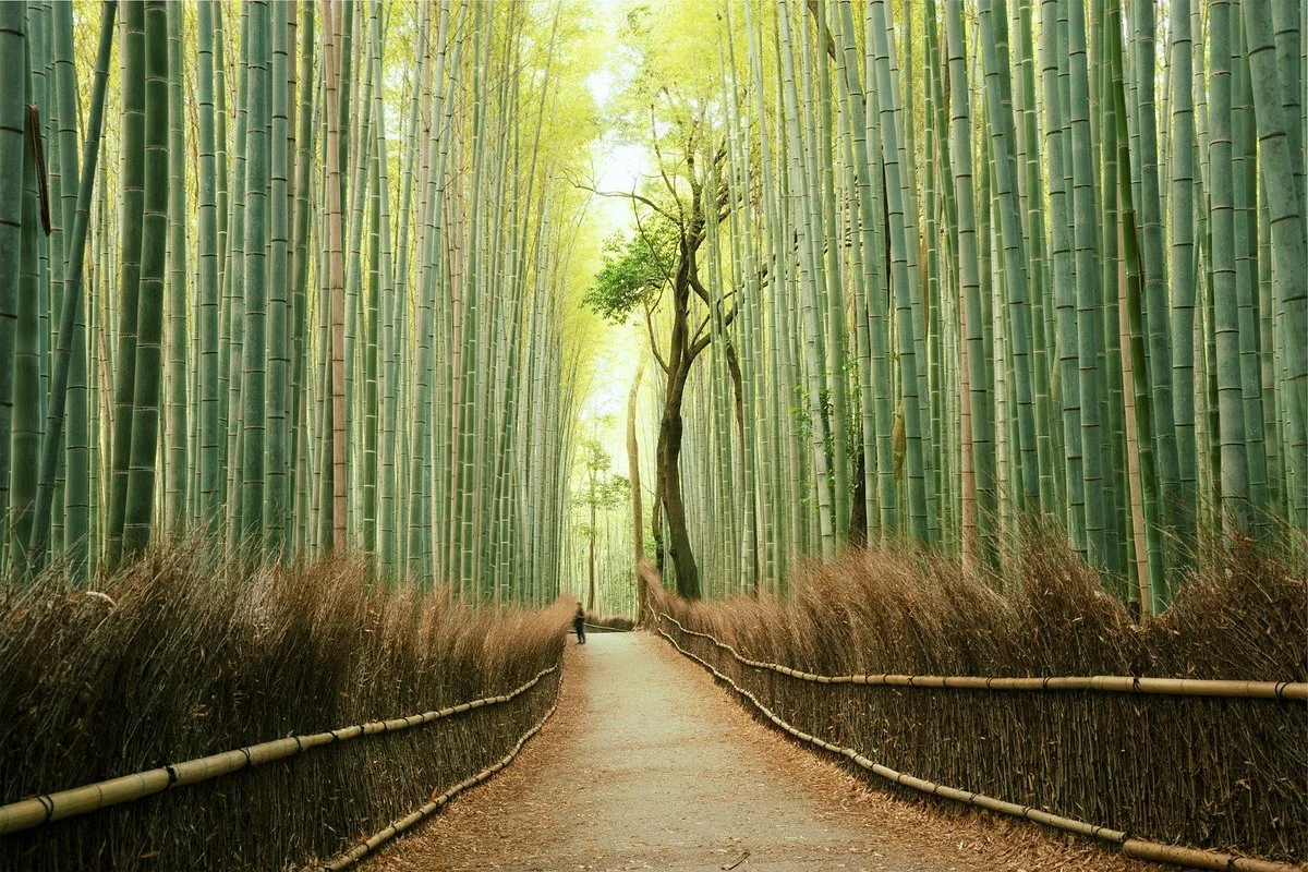 Arashiyama
