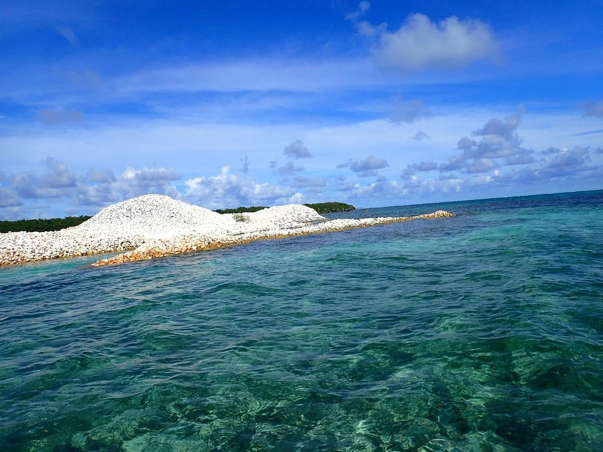 Horseshoe Reef