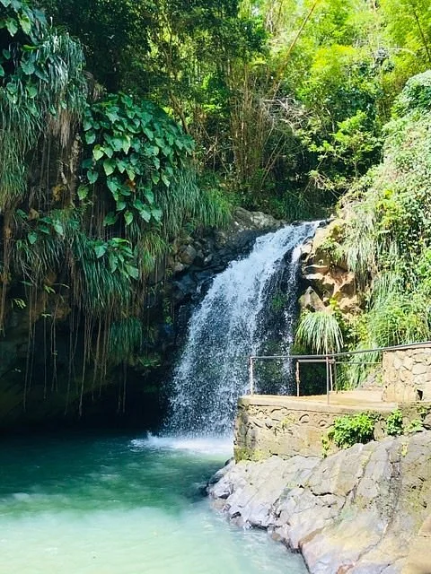 Annandale Falls