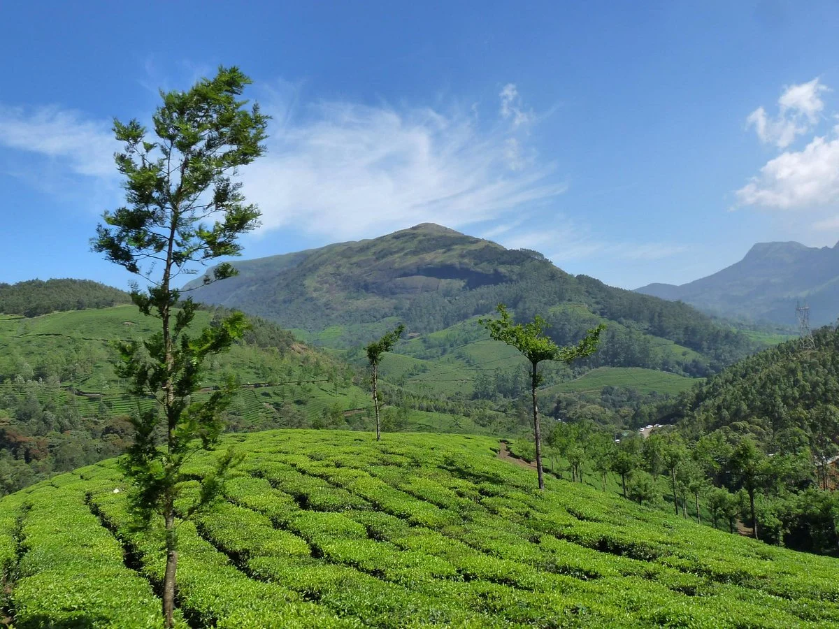 Anamudi Peak