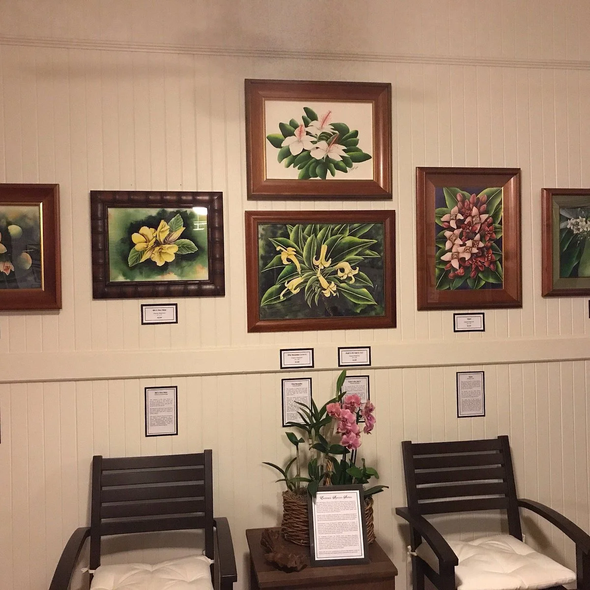 Alan Akana Gallery