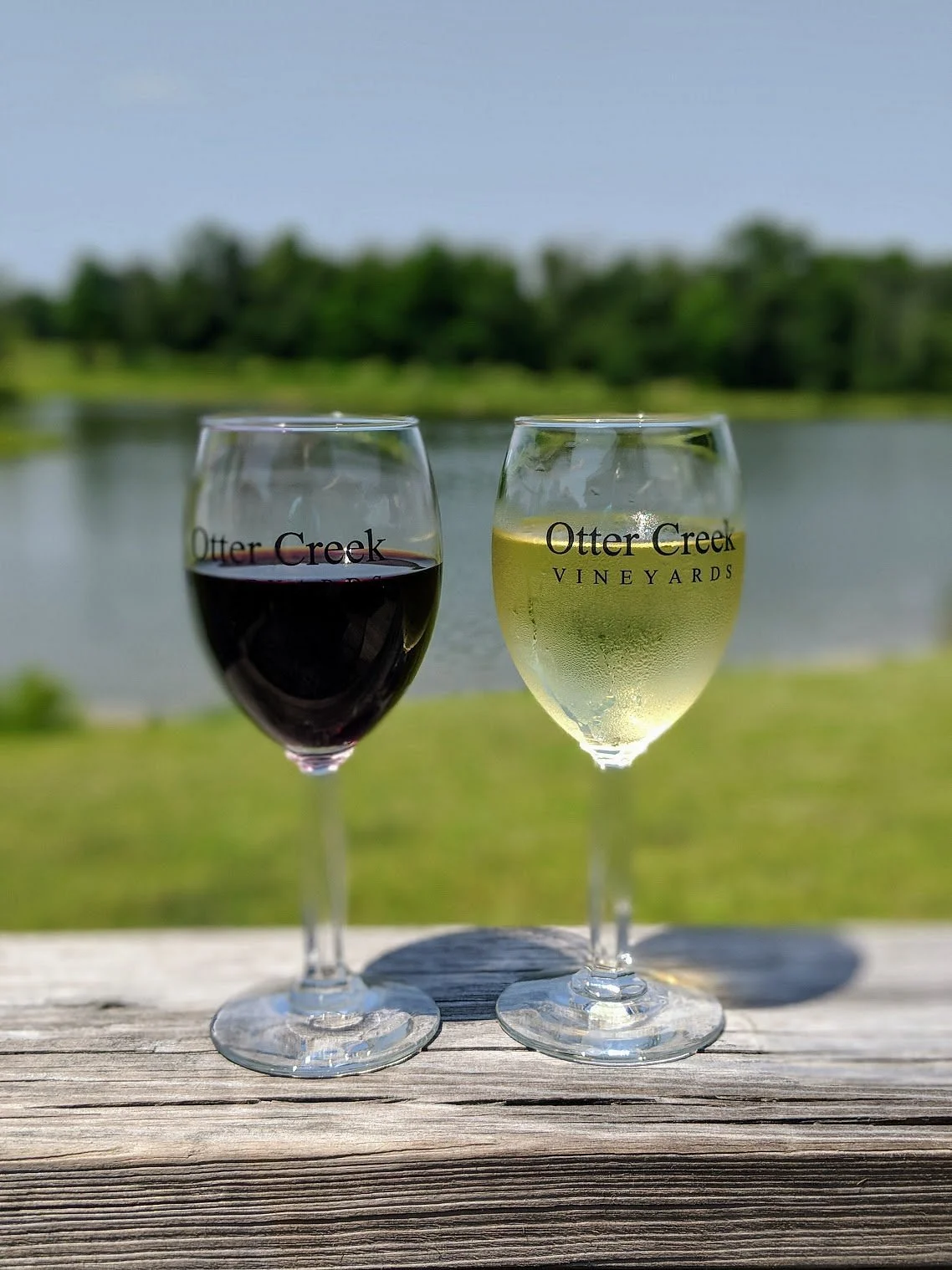 Otter Creek Vineyards
