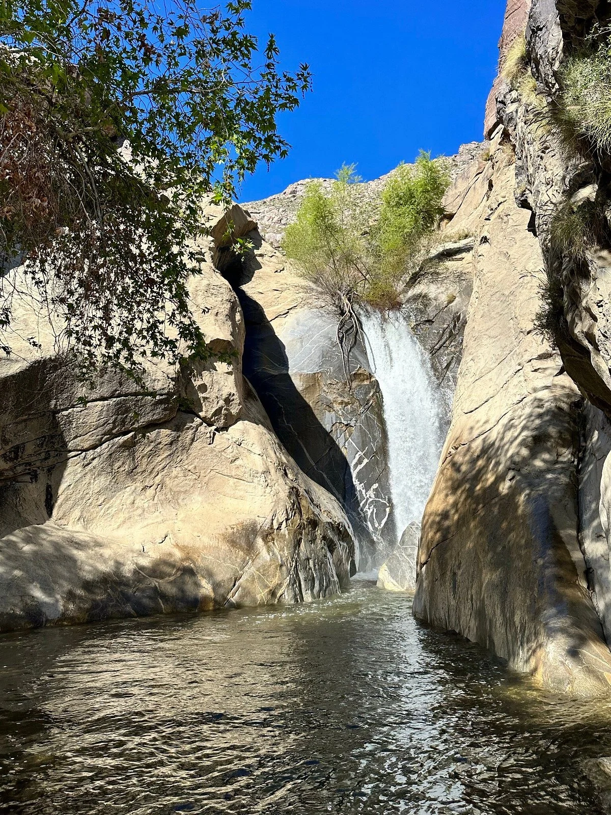 Tahquitz Canyon