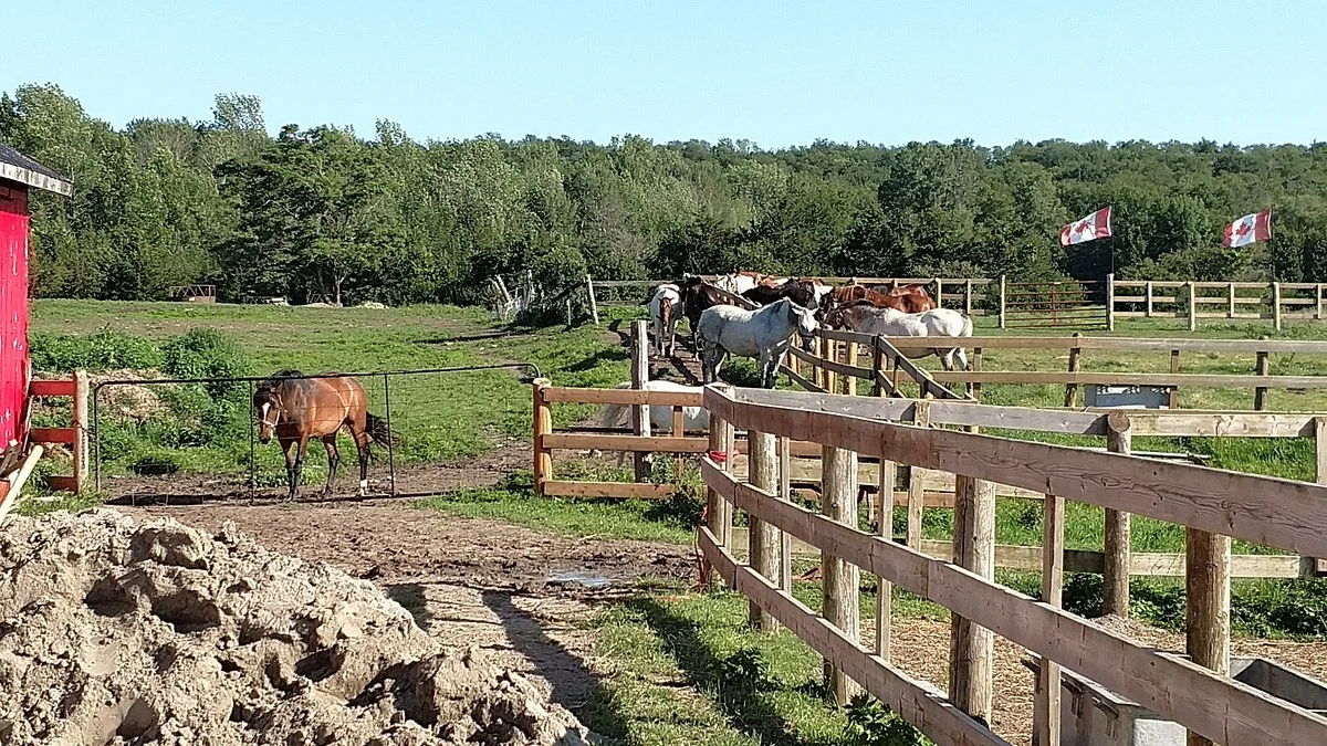 Diamond J Ranch
