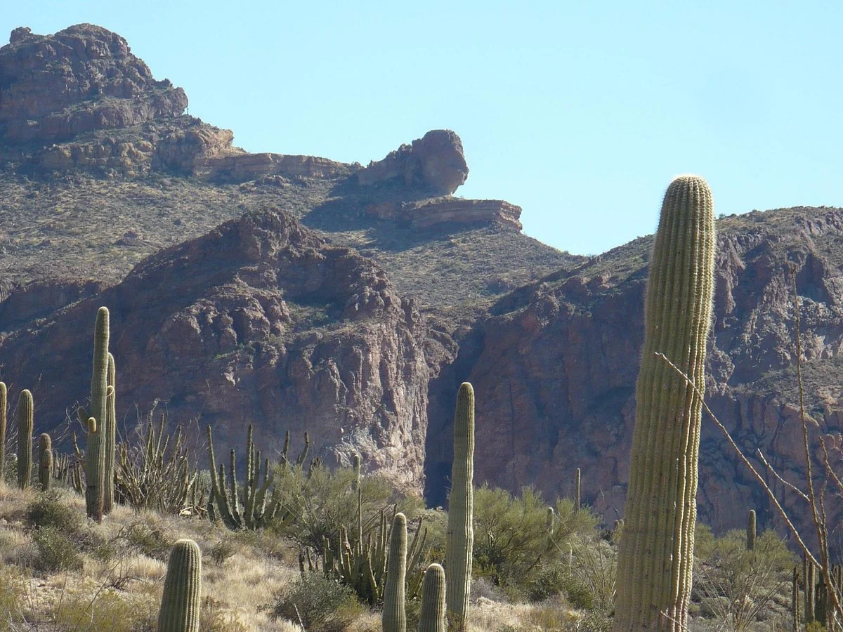 Ajo Mountain Drive