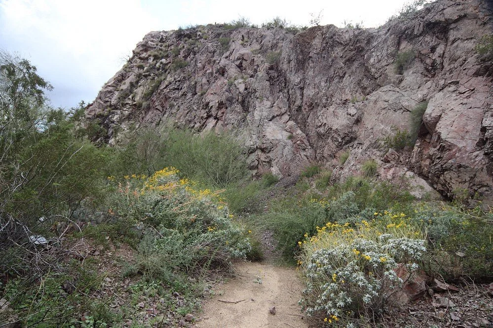 Desert Arboretum Park