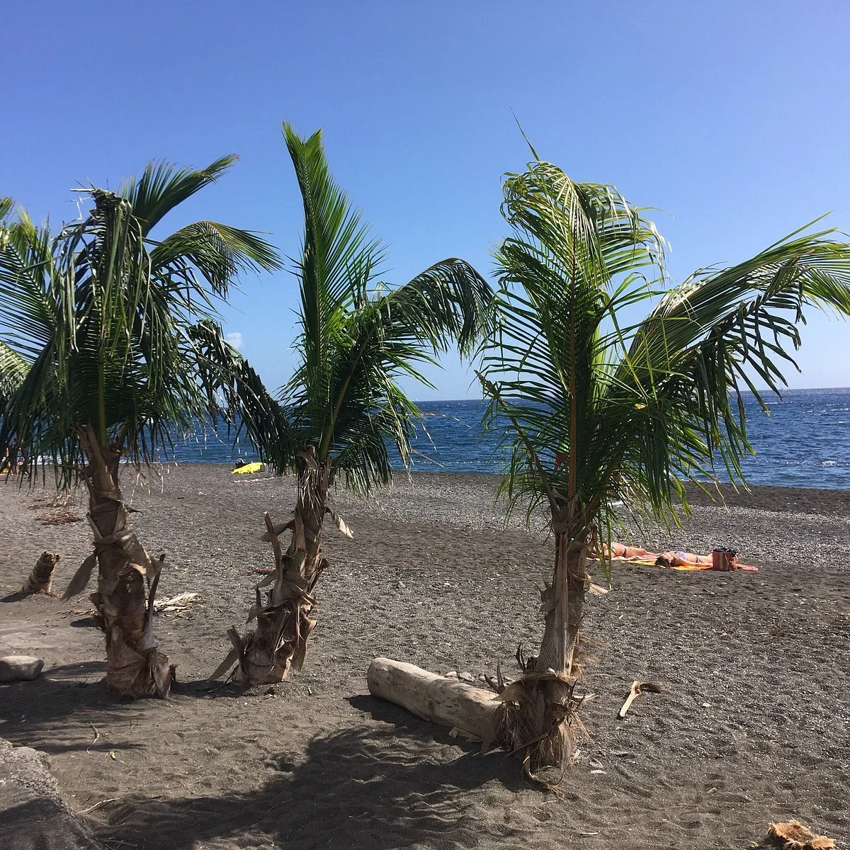 Plage De Riviere Sens