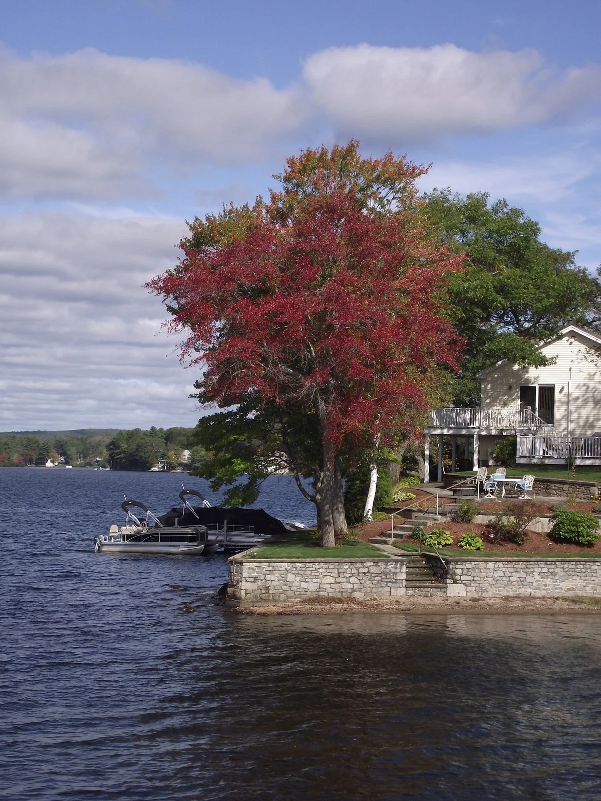 Lake Webster