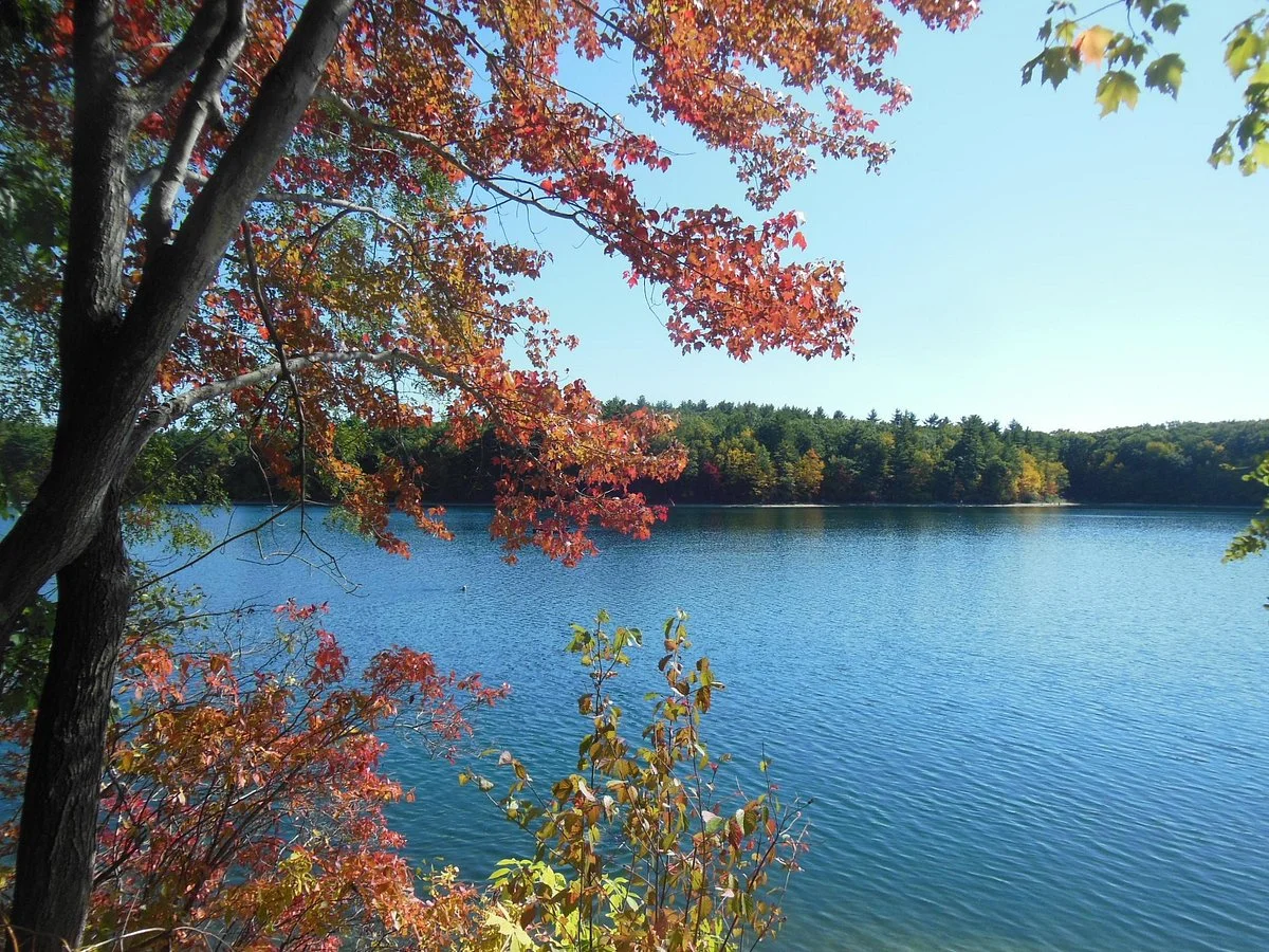 Walden Pond State Reservation